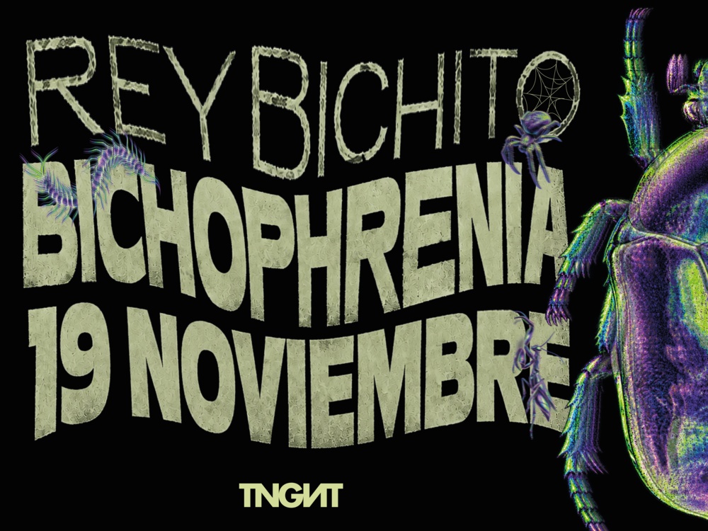 Rey Bichito